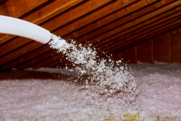 Best Geographic-Specific Insulation Services in Dumas, TX